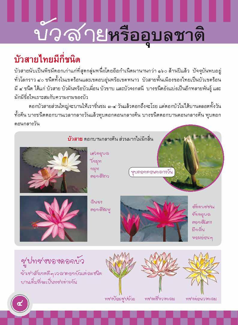 ภูมิใจไทย-บัวไทย (อาเซียน)