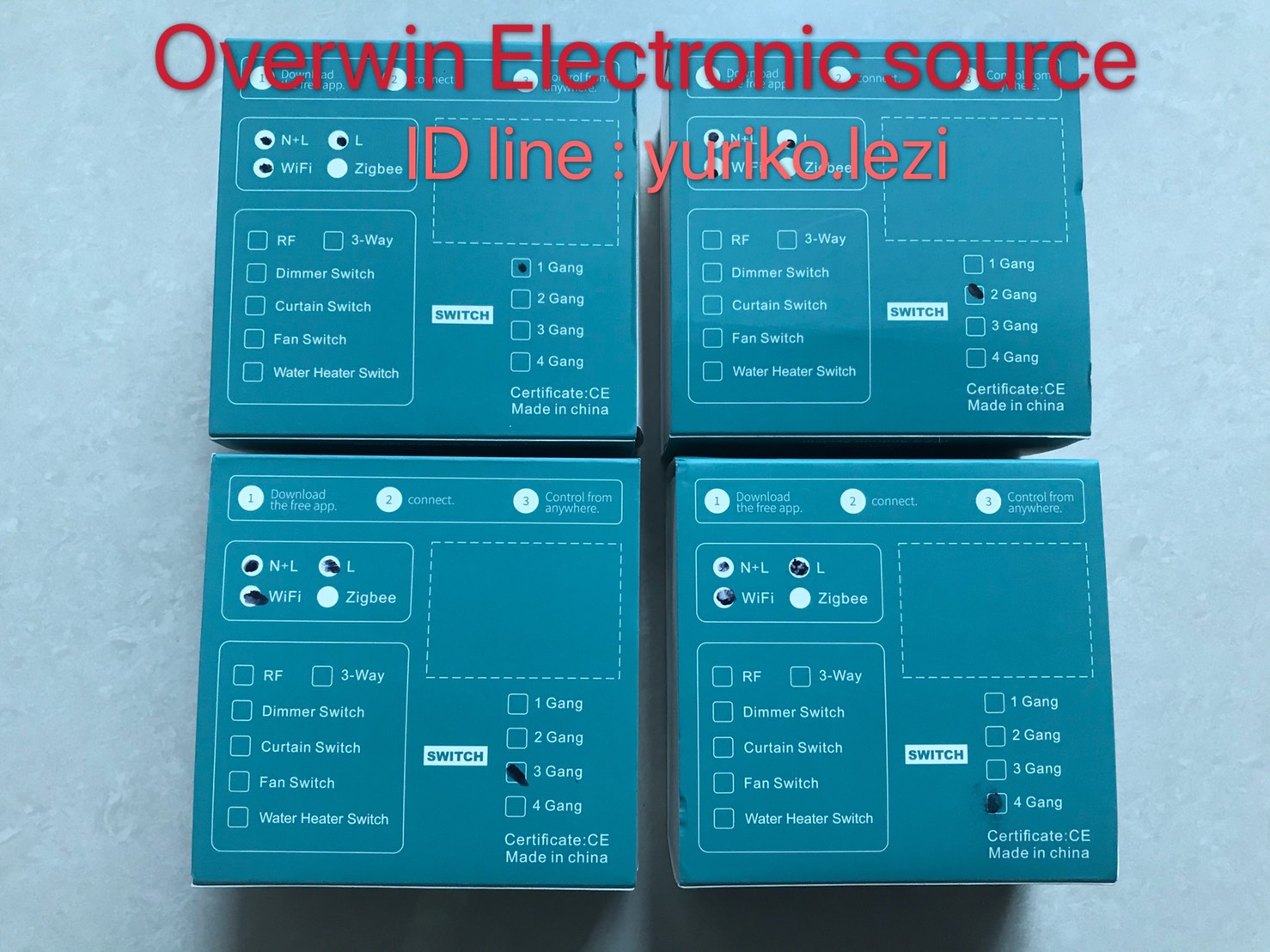 SMART SWITCH (DS-101)