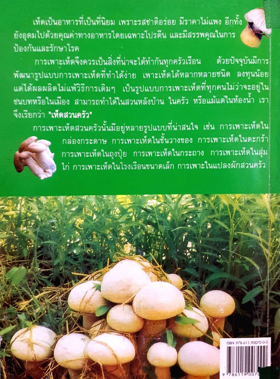 การเพาะเห็ดสวนครัว