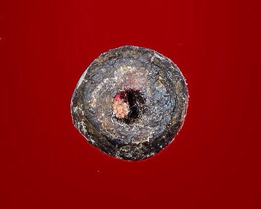 เม็ดประคำหลวงปู่่ทิม ยุคต้น เม็ดเล็กแต่พุทธคุณไม่เล็ก สวยมากครับ /2