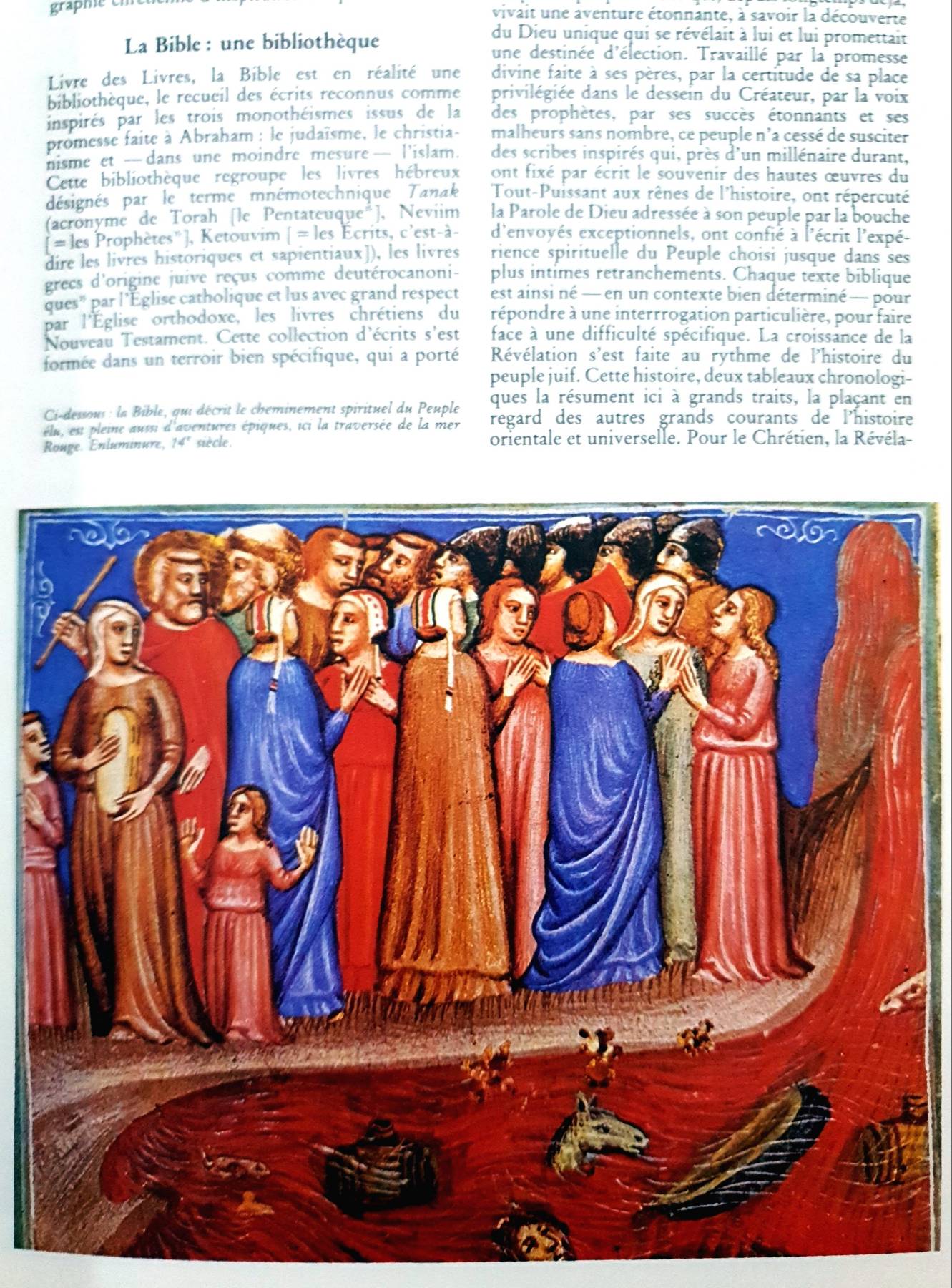 DICTIONNAIRE ILLUSTRÉ DE LA BIBLE (French Edition) Hardcover