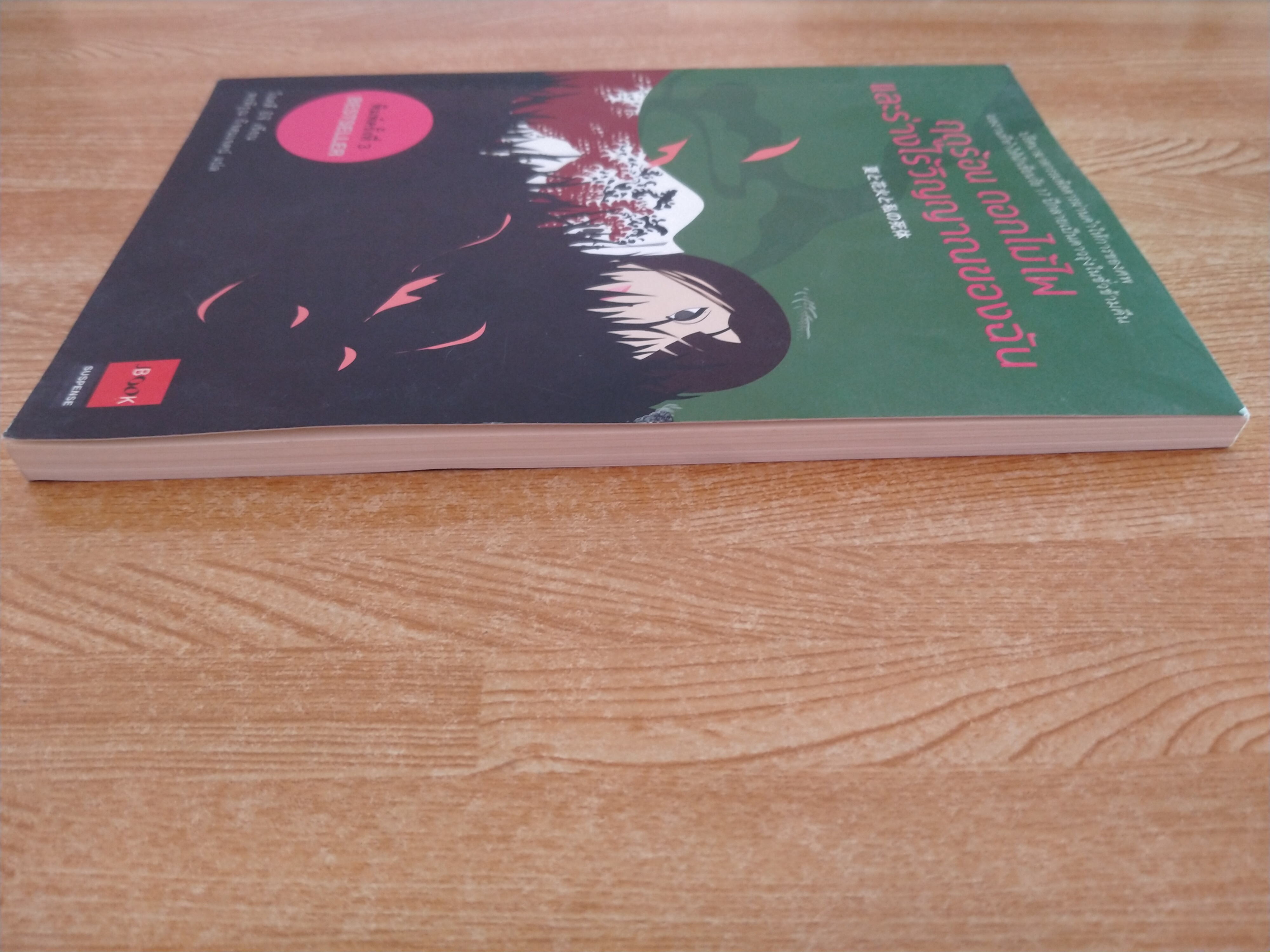 ฤดูร้อน ดอกไม้ไฟ และร่างไร้วิญญาณของฉัน