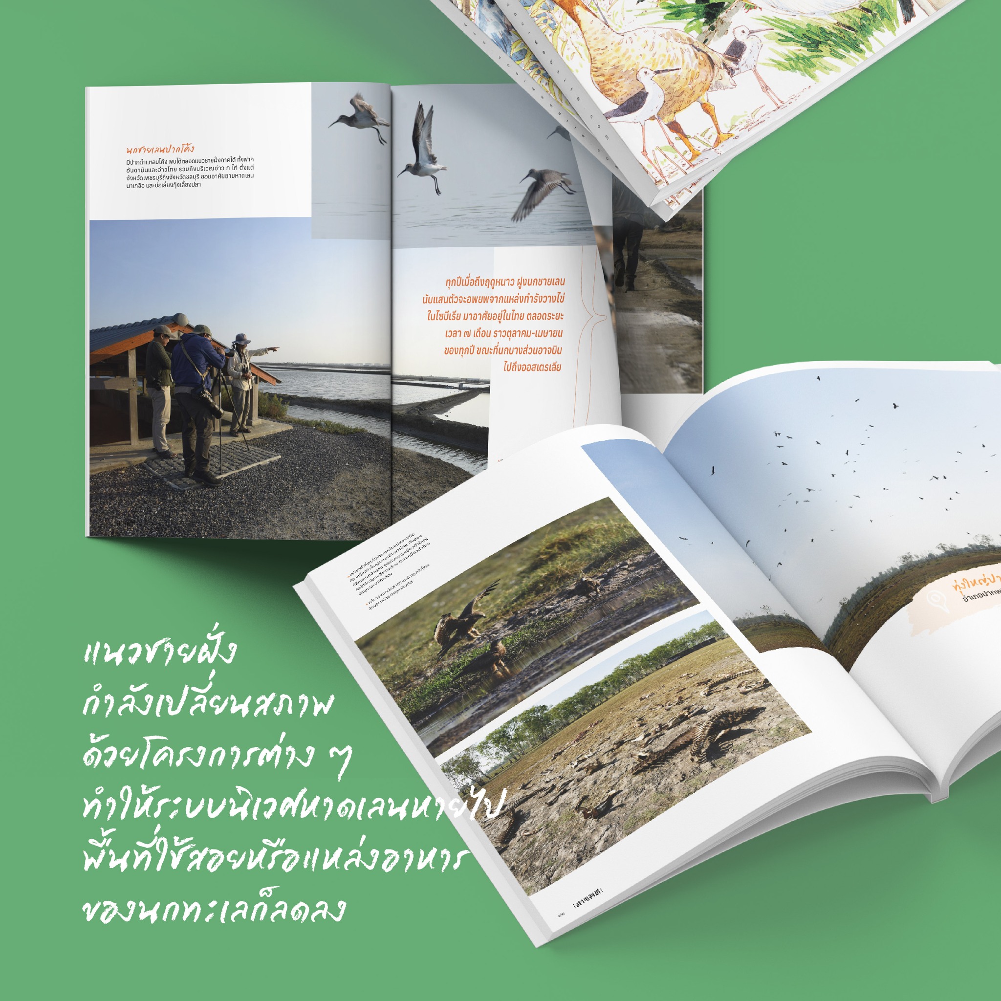 นิตยสารสารคดี ฉบับ 473 รักษ์นกนอกเขตอนุรักษ์