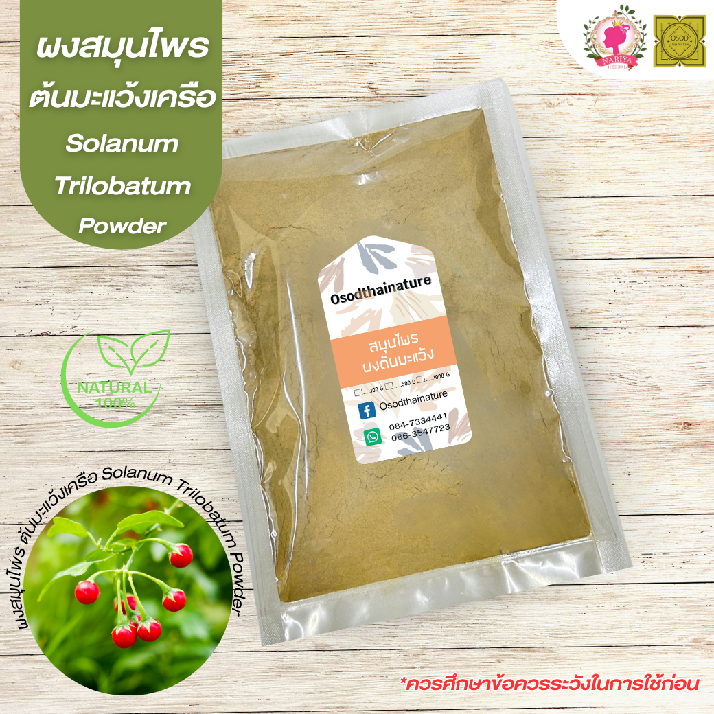 ผงต้นมะแว้ง (Solanum Trilobatum Powder) ขนาด 500 1000 กรัม ต้นมะแว้ง บดละเอียด สมุนไพร แท้100% FG-HBP-036