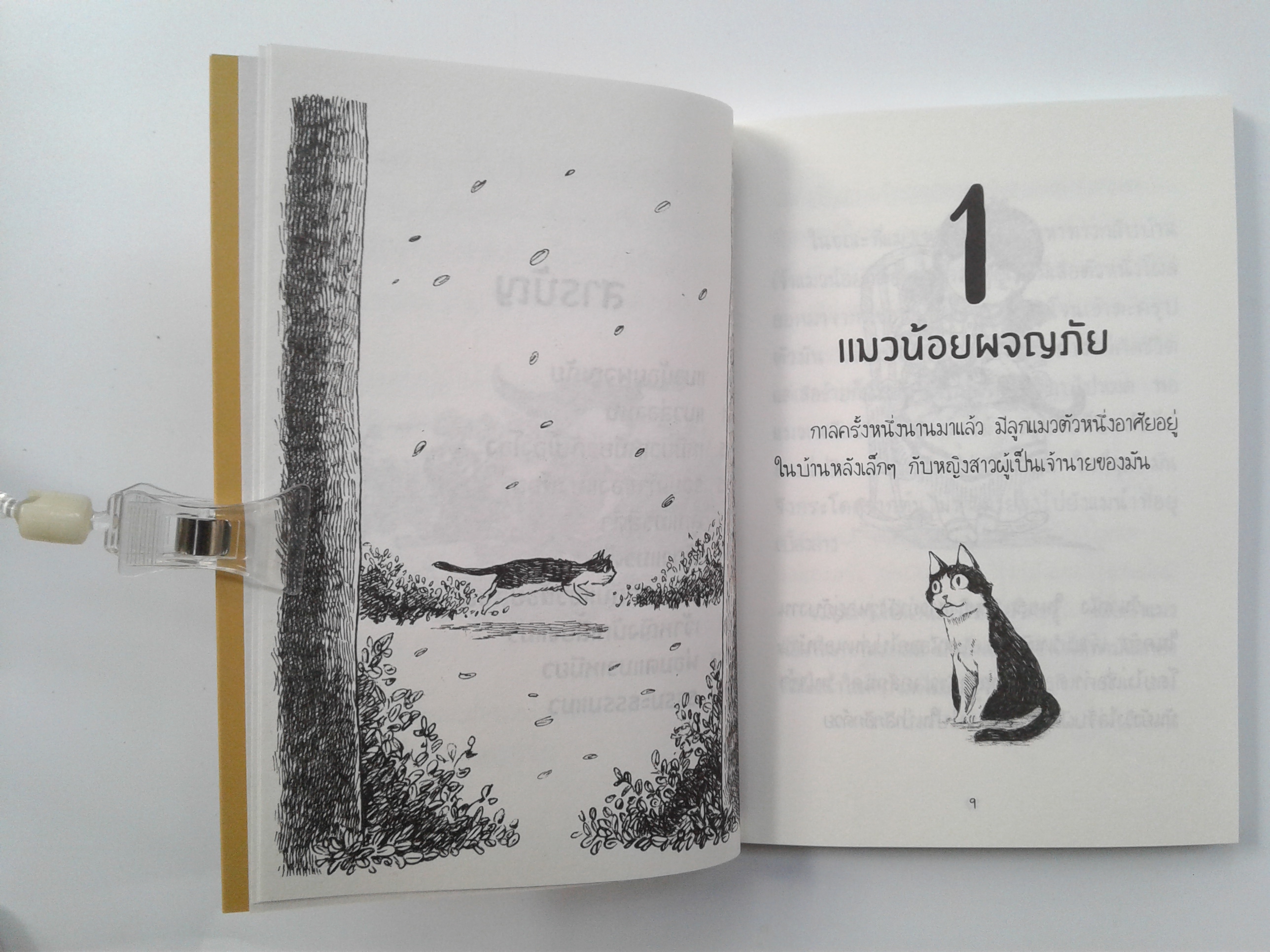 นิทานนำบุญ Nambun Tales เรื่องของแมว หนังสือ วรรณกรรม
