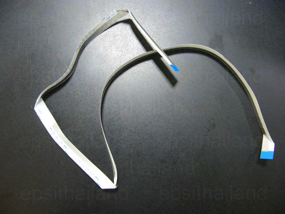 EPSON EPSON CABLE,HEAD,F2(2145558) CABLE ENCODE F2 CISS ASSY,CC26;EPPI(1616017) L110/120/210/220/300/310/350/355/360/365/380/385 ขายคู่ 500 กรัม