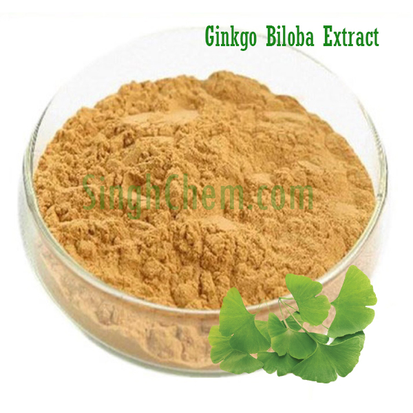 สารสกัดใบแป๊ะก๊วย (Ginkgo Extract)