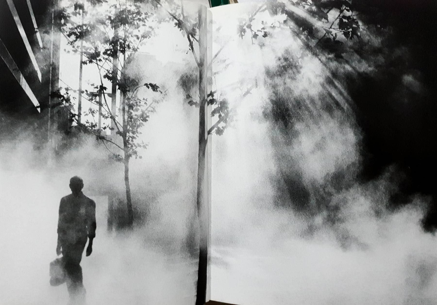 The Street Photographer's Manual : David Gibson