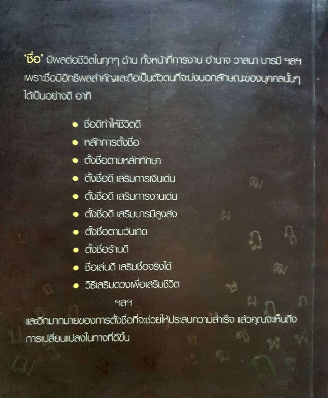 ชื่อดี ชีวิตรุ่ง คู่มือตั้งชื่อเรียกทรัพย์ : ปรีดิ์ ทักษวรรษ