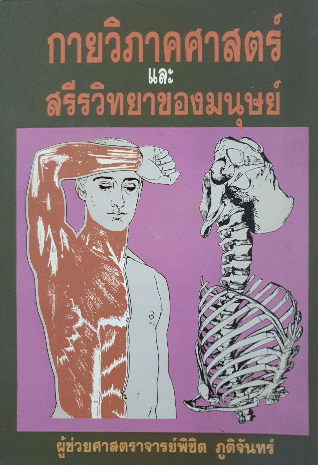 กายวิภาคศาสตร์ และ สรีรวิทยาของมนุษย์ ผู้ช่วยศาสตราจารย์พิชิต ภูติจันทร์