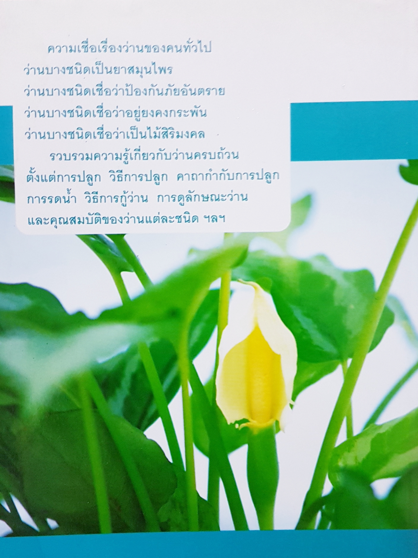 ว่านยา เสน่ห์มหามงคล เล่ม๓