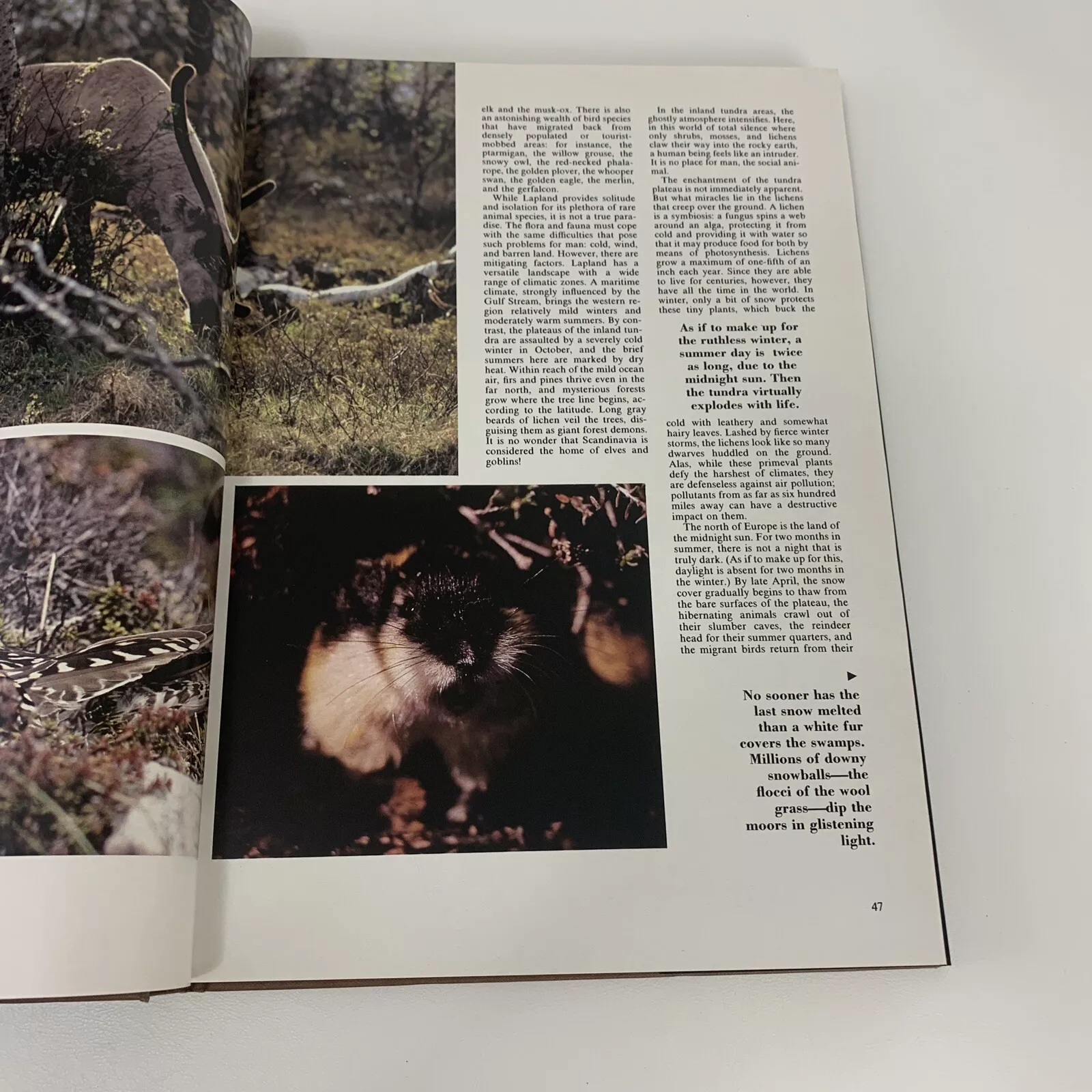 Wilderness Expeditions Hardcover – January 1, 1981