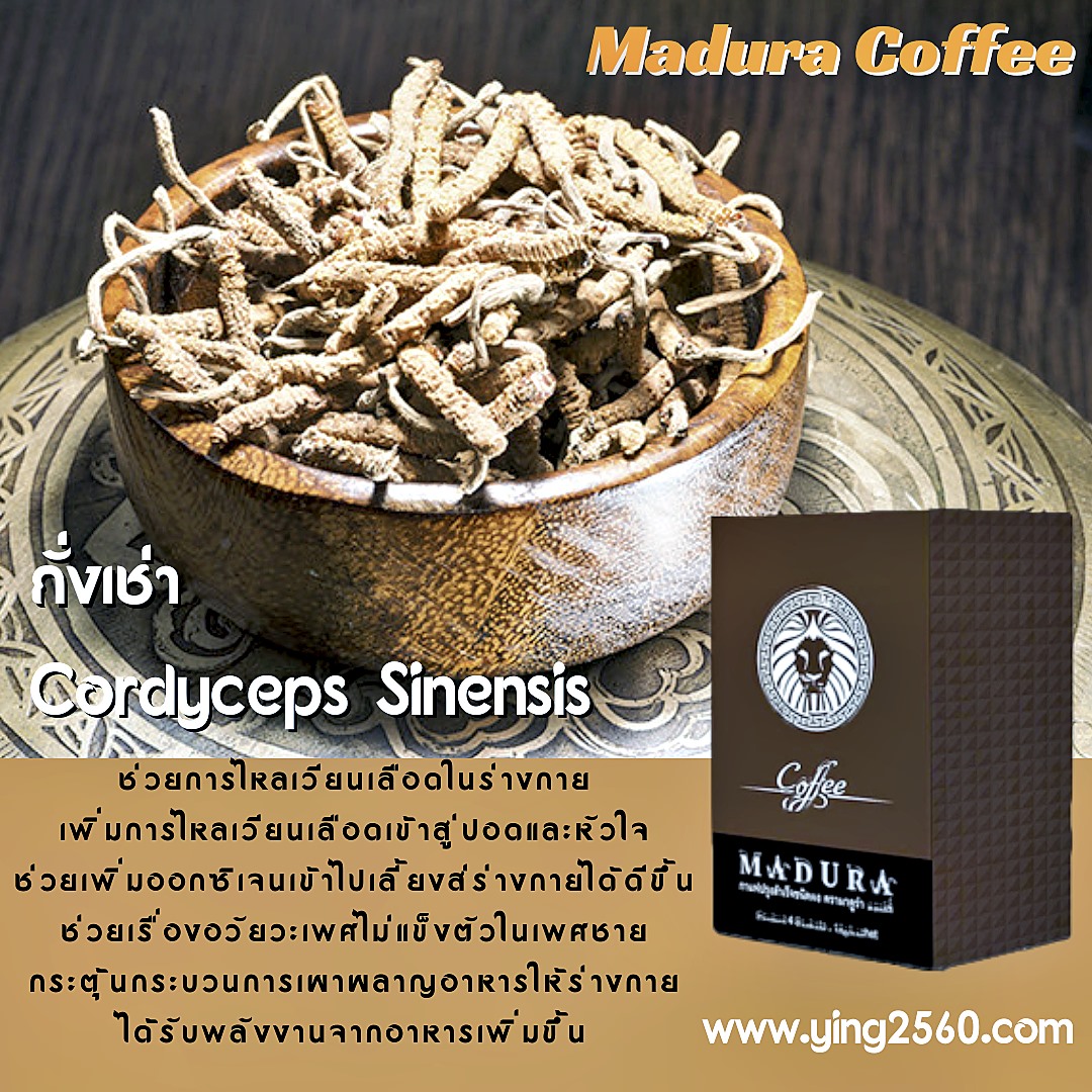 กาแฟผู้ชาย,Madura Coffee,เพิ่มสมรรถภาพทางเพศ,บำรุงกำลัง,อึด ทนนาน,ชะลอการหลั่ง