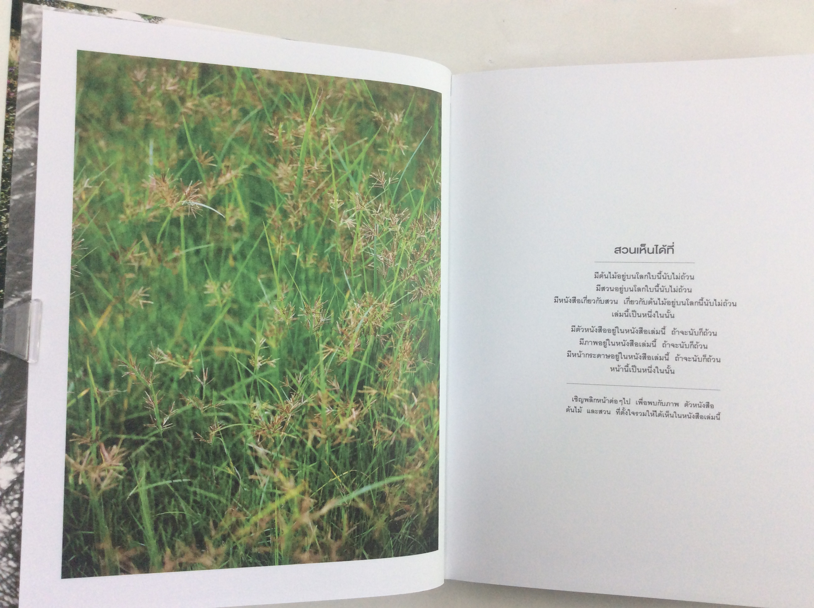 สวนที่ได้เห็น Garden seen หนังสือตกแต่งสวน ปกแข็ง หนังสือ บ้านและสวน หนังสือ