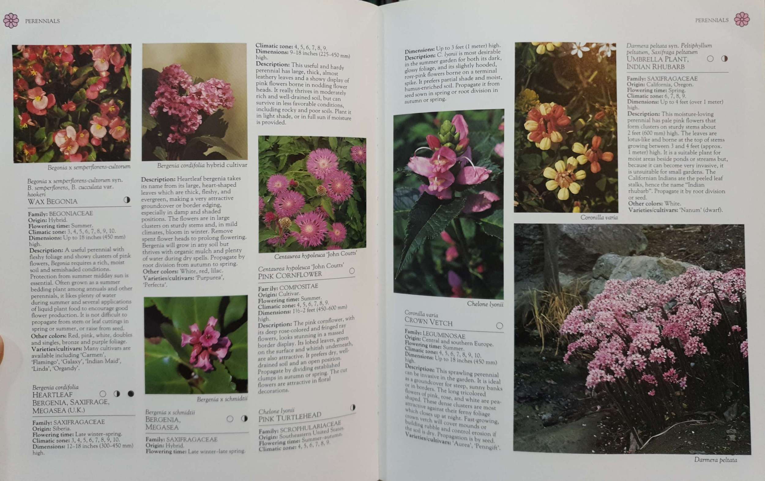 Encyclopedia of Flowers Over 1,000 Popular Flowers,Flowering Shrubs and Trees