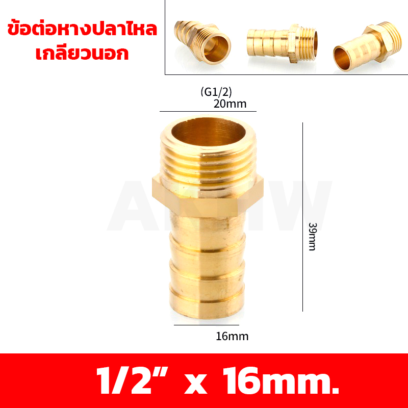 ข้อต่อหางปลาไหลเกลียวใน/เกลียวนอก ทองเหลือง KingsMan ขนาด 1/2นิ้ว 3/4นิ้ว [ขายปลีก/ส่ง]