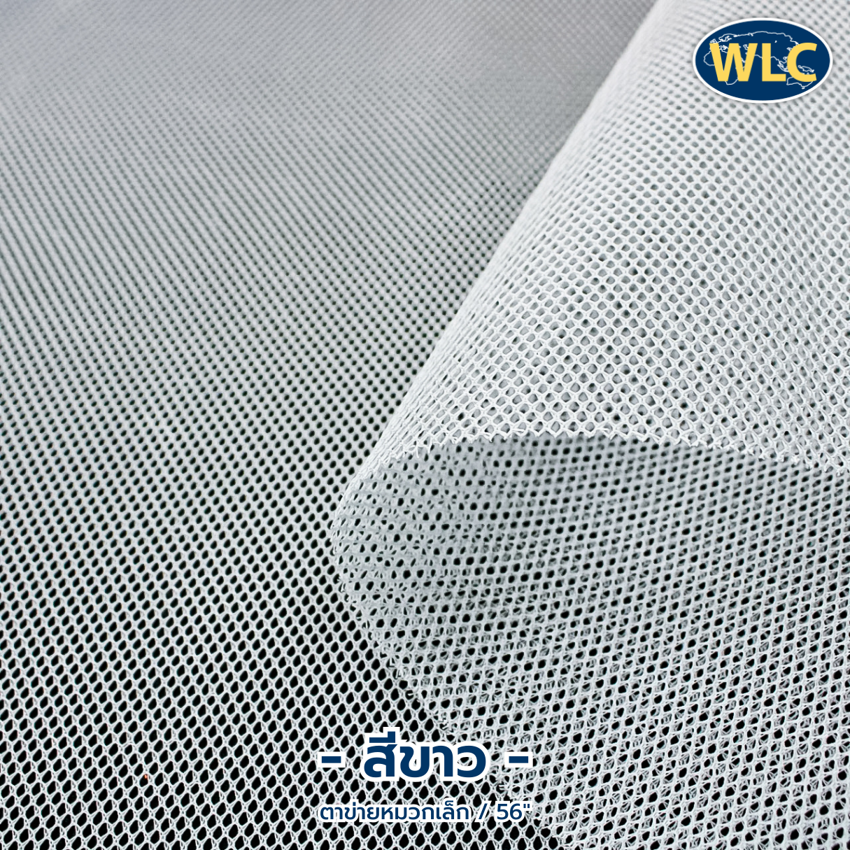 ตาข่ายหมวกเล็ก/56"