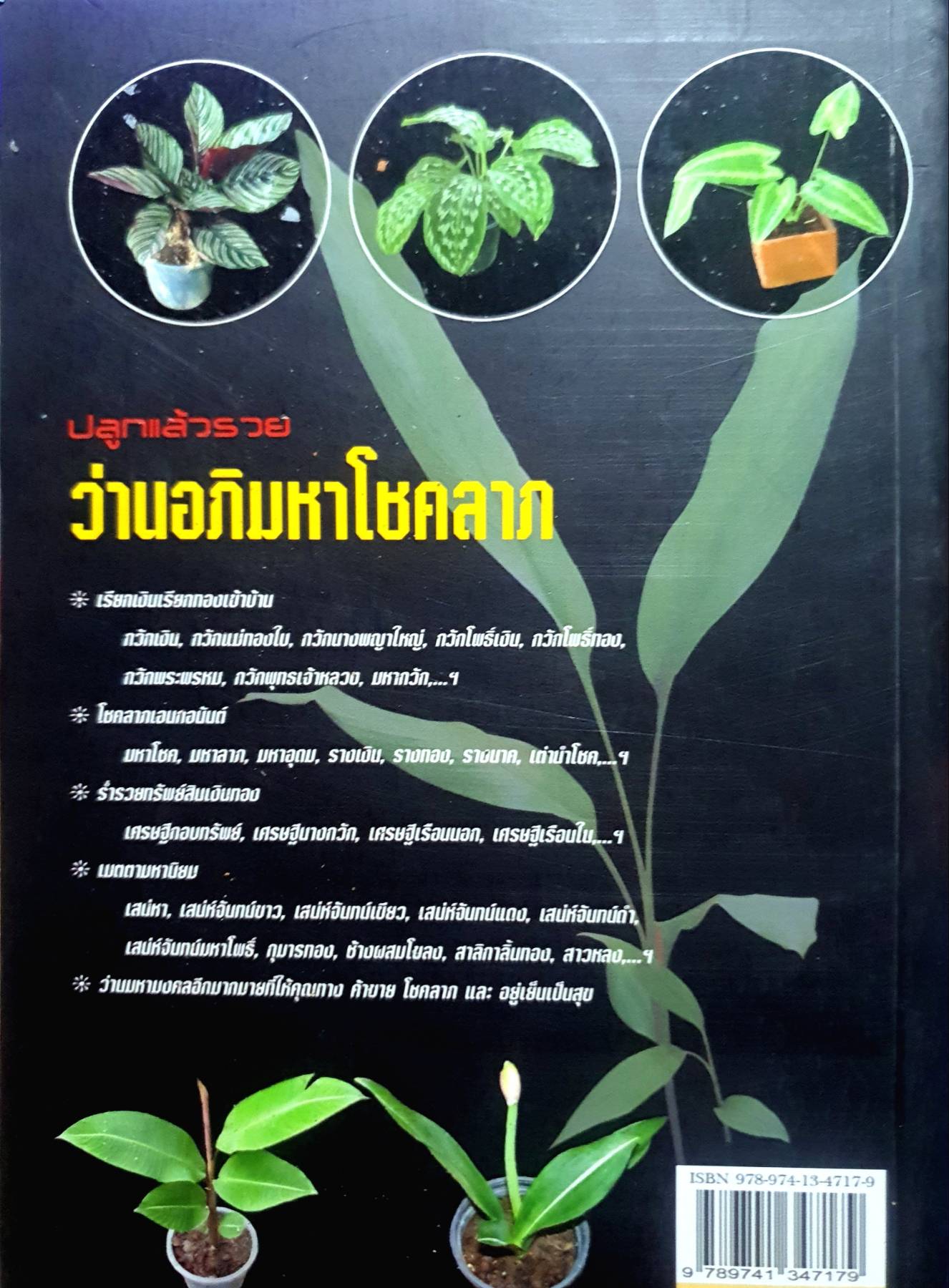 ว่านอภิมหาโชคลาภ คู่มือ การดูแล เทคนิค วิธีการปลูก ขยายพันธุ์ ต้นว่าน ว่านมหาลาภ ไม้มงคล เสริมโชคลาภ