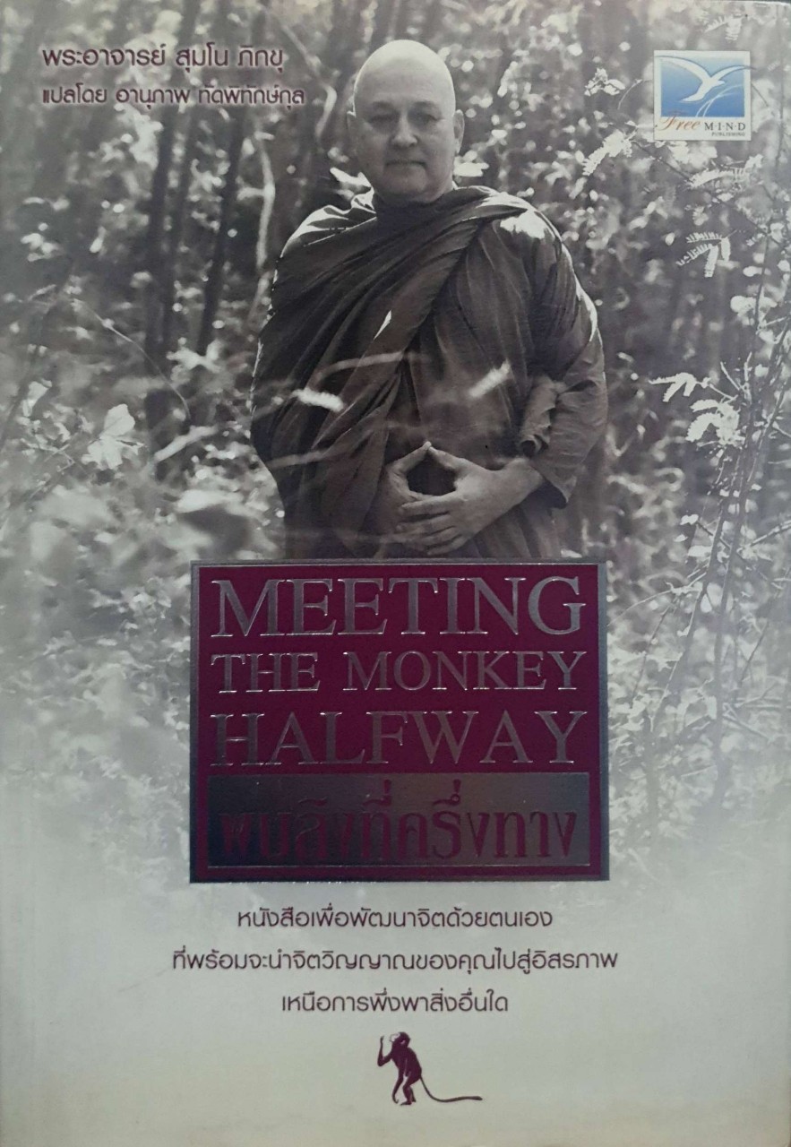 พบลิงที่ครึ่งทาง