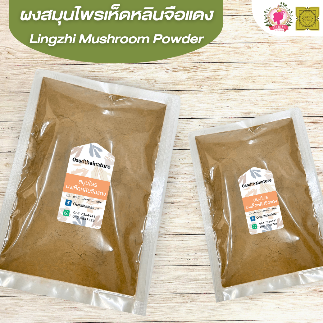 ผงเห็ดหลินจือแดง (Lingzhi Mushroom Powder) ขนาด 500 1000 กรัม เห็ดหลินจือ บดละเอียด สมุนไพร แท้ 100% FG-HBP-098