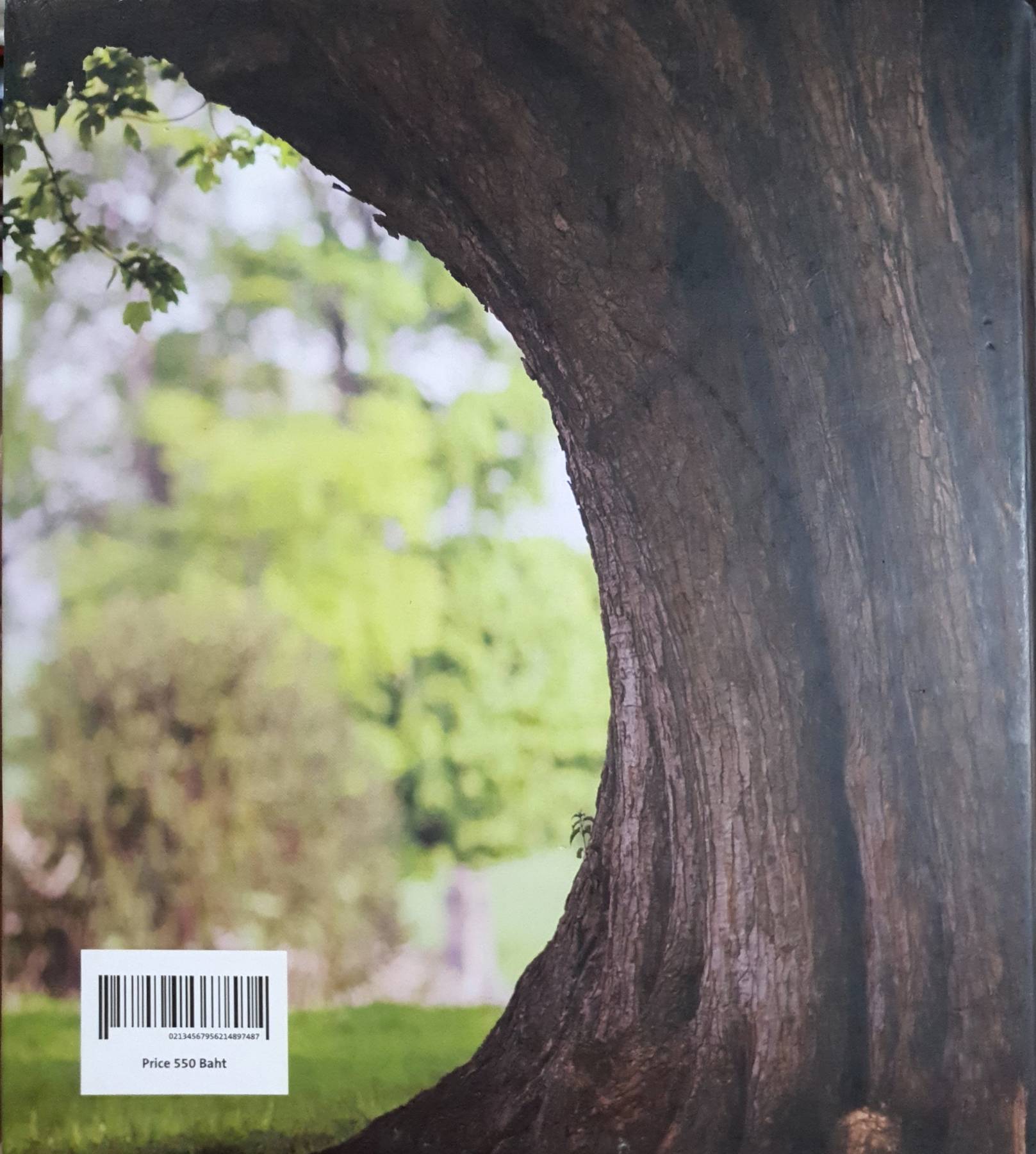 INNOVATING A BEAUTIFUL PLANET