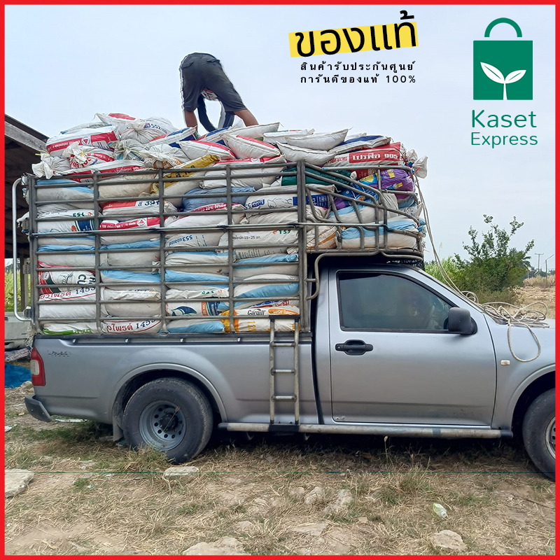 จำหน่ายใบก้ามปูราคาส่ง ใบก้ามปูราคาโรงงาน จัดส่งทั่วประเทศ พร้อมรถขนส่งครบทุกประเภท