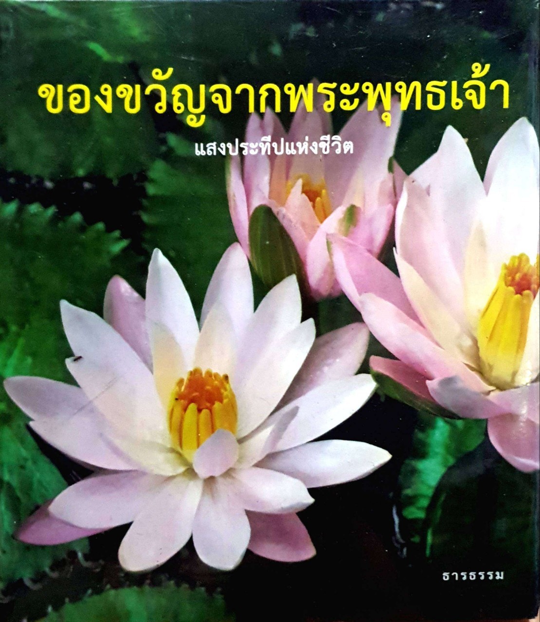 ของขวัญจากพระเจ้า