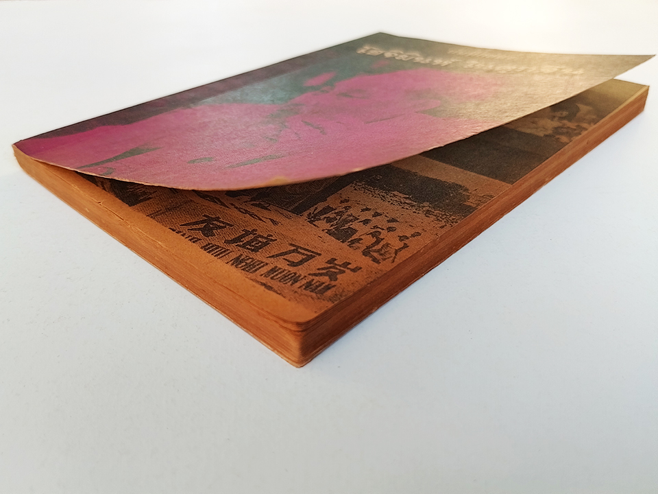 บันทึกของโฮจิมินห์ ในคุกจีน หนังสือ สังคม การเมือง