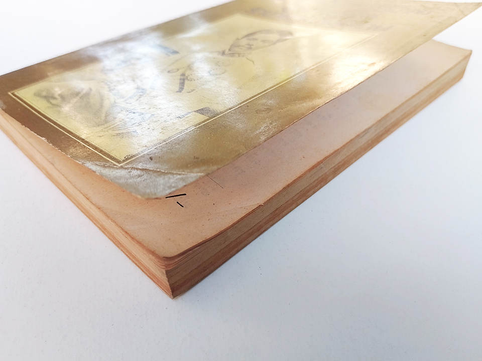 พระเจ้าบรมวงศ์เธอ กรมหลวงประจักษ์ศิลปาคม หนังสือ พระประวัติ พระราชประวัติ ประวัติ