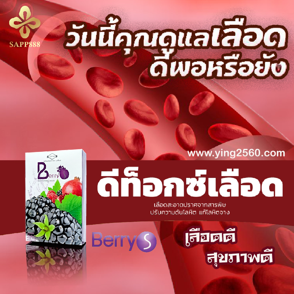 Berry S,เบอร์รี่เอส,ล้างเลือด,ดีท็อกซ์เลือด,ล้างสารพิษในเลือด,เลือดดี,สุขภาพดี,ปรับความดันโลหิต,แก้โลหิตจาง,detox Berry S,เบอร์รี่เอส,ล้างเลือด,ดีท็อกซ์เลือด,ล้างสารพิษในเลือด,เลือดดี,สุขภาพดี,ปรับความดันโลหิต,แก้โลหิตจาง,detox