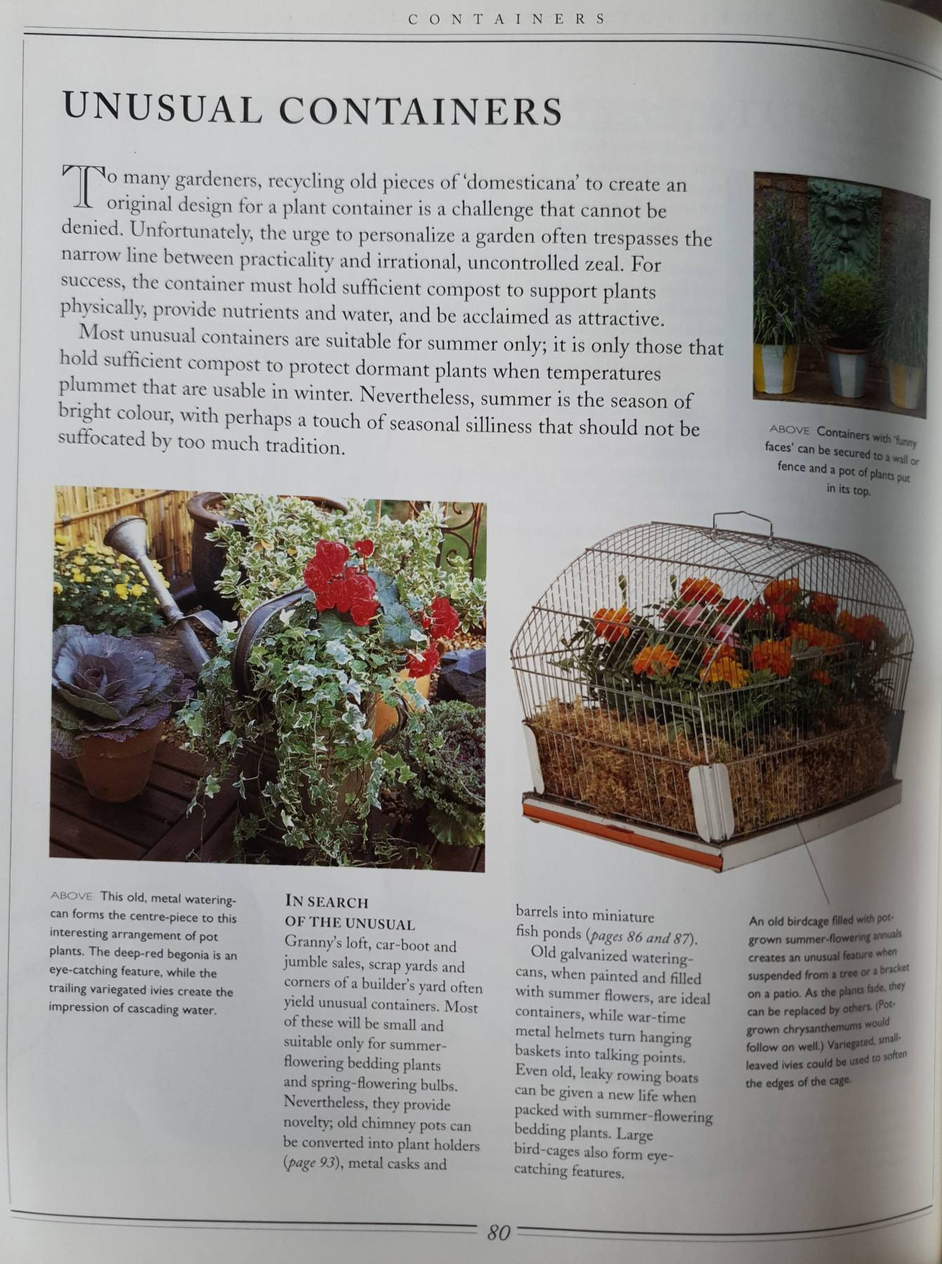 Practical Gardening : Containers (Practical Gardening) : David Squire