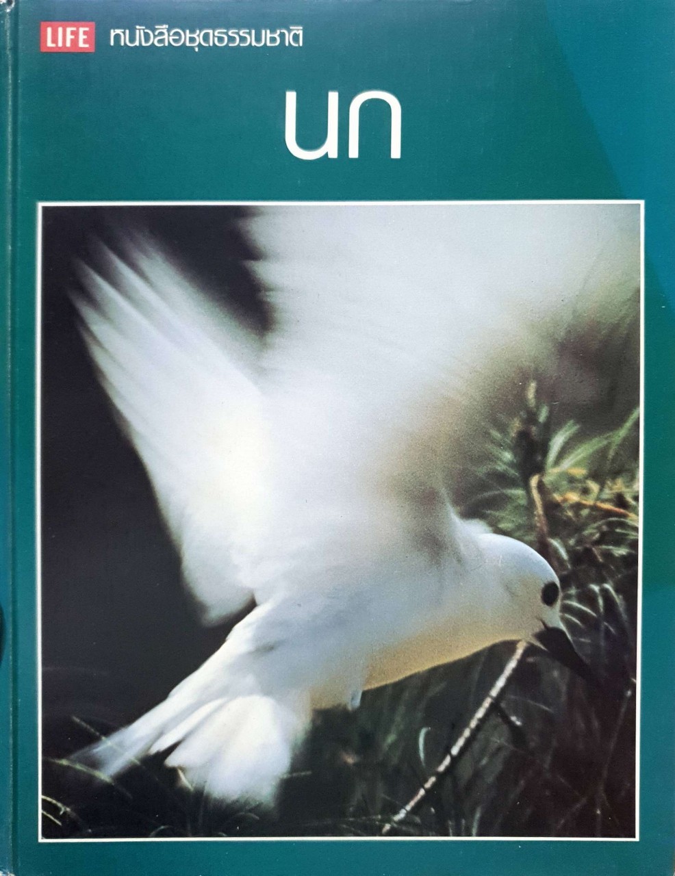 นก ; LIFE หนังสือชุดธรรมชาติ : Roger Tory Peterson