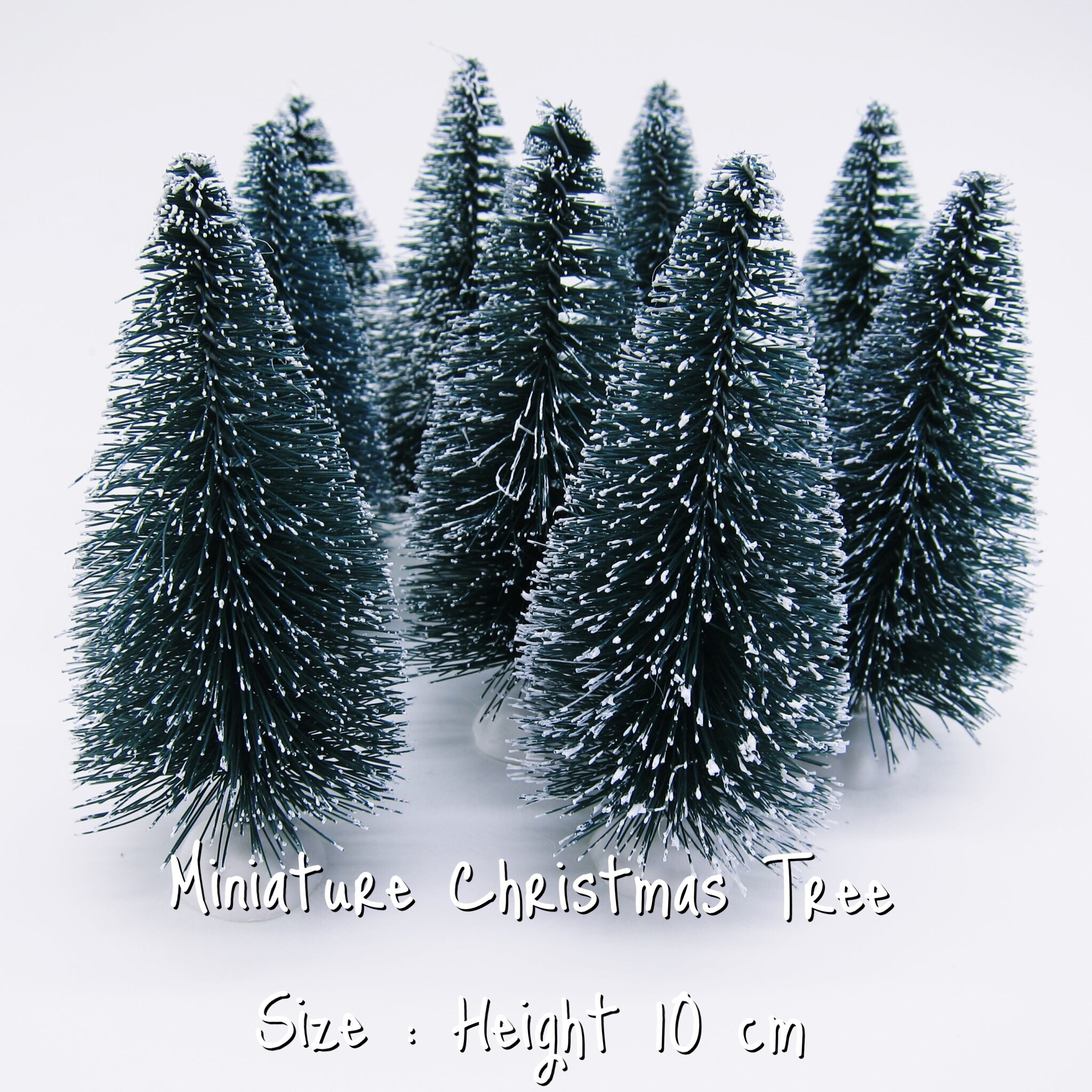 Miniature Pine Christmas