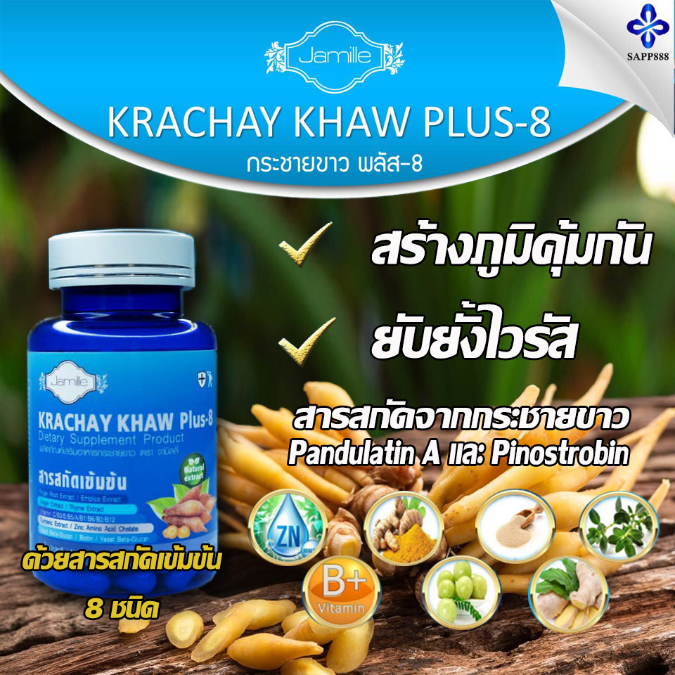 กระชายขาว,กระชายขาวพลัส8,กระชายขาว พลัส 8,กระชายขาว พลัส8,Krachay khaw plus 8,เสริมสร้างภูมิคุ้มกัน,ยับยั้งไวรัส,โตวิด19,covid19,sapp888