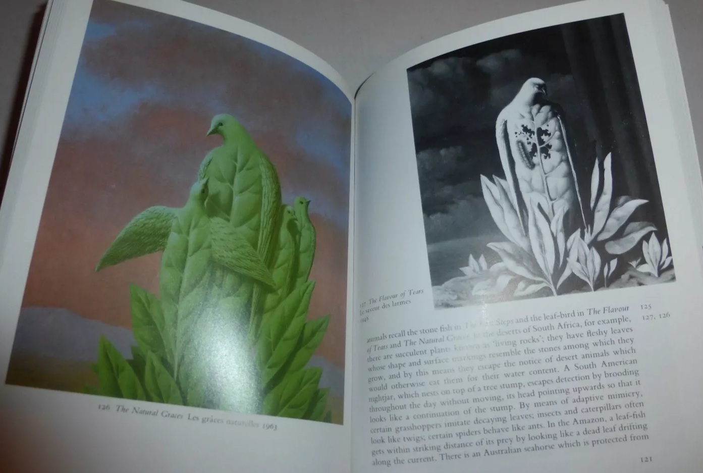 magritte suzi gablik