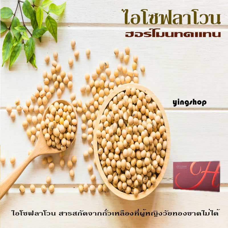 ไอโซฟลาโวน ฮอรโมนทดแทน ที่ผู้หญิงวัยทองขาดไม่ได้ ไอโซฟลาโวน ฮอรโมนทดแทน ที่ผู้หญิงวัยทองขาดไม่ได้
