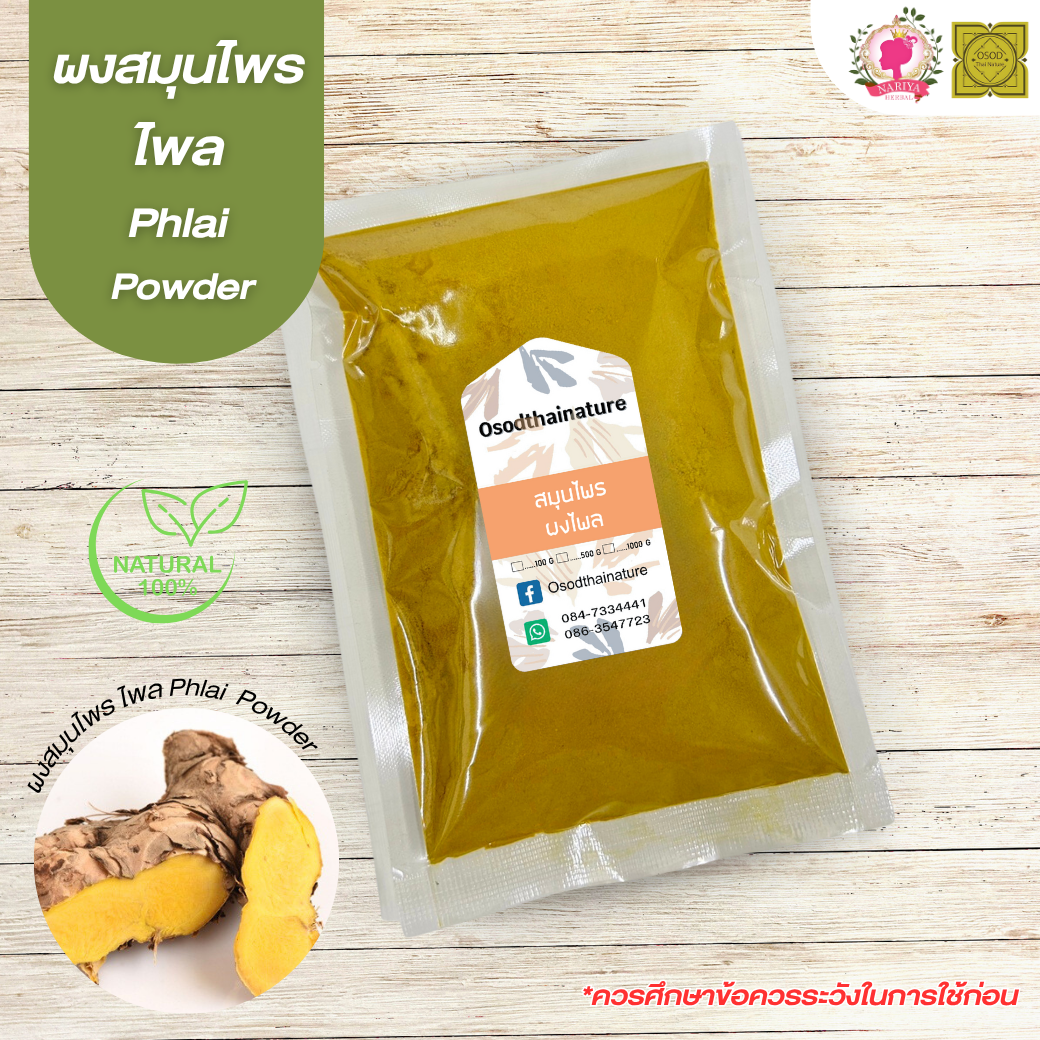 ผงไพล (Plai Powder) ขนาด 500 1000 กรัม ไพล บดละเอียด สมุนไพร แท้ 100% FG-HBP-067
