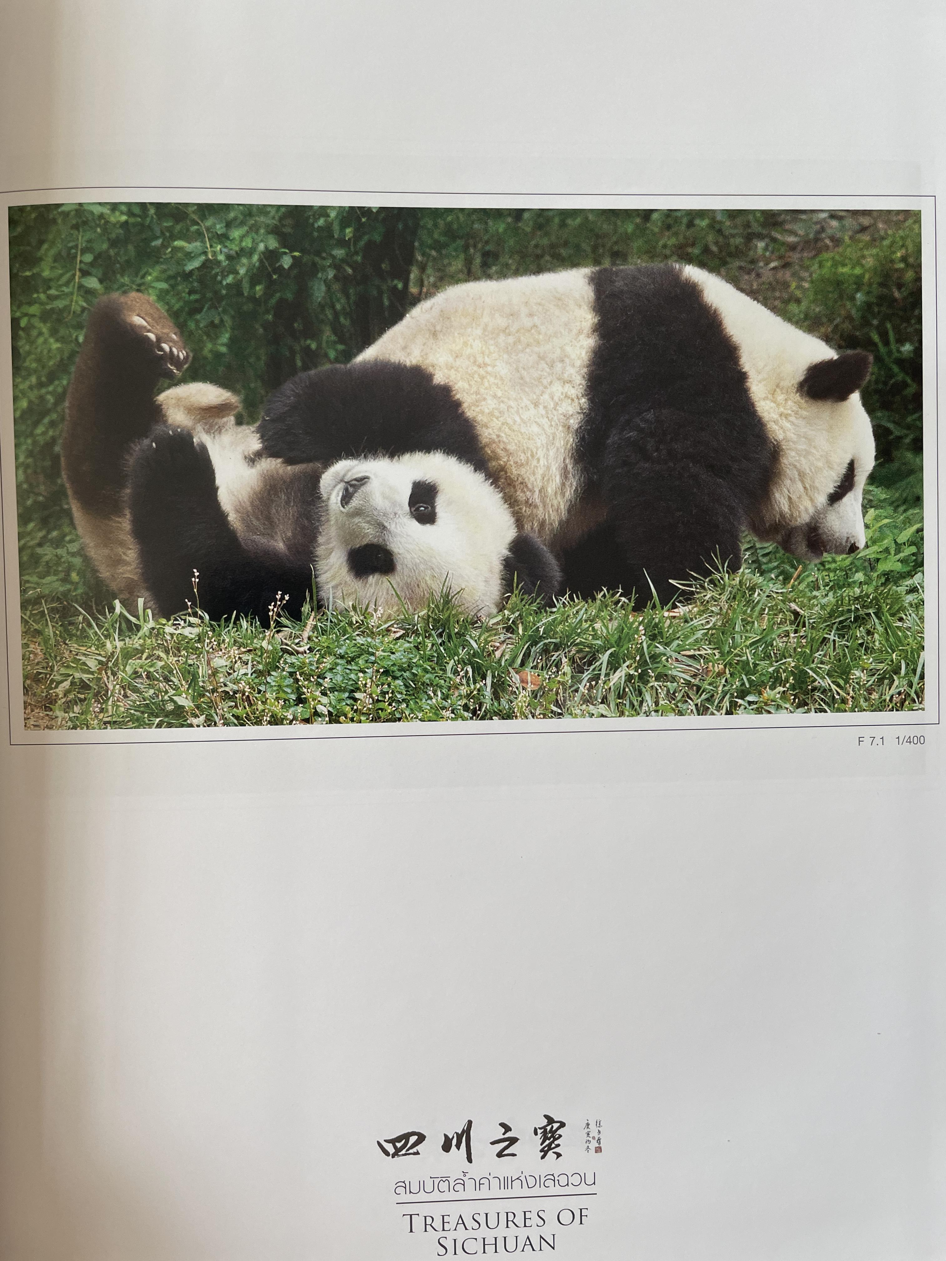 สมบัติล้ำค่าแห่งเสฉวน Treasures of Sichuan. David Lau’s Photo Collection 5 กก. ปกแข็ง