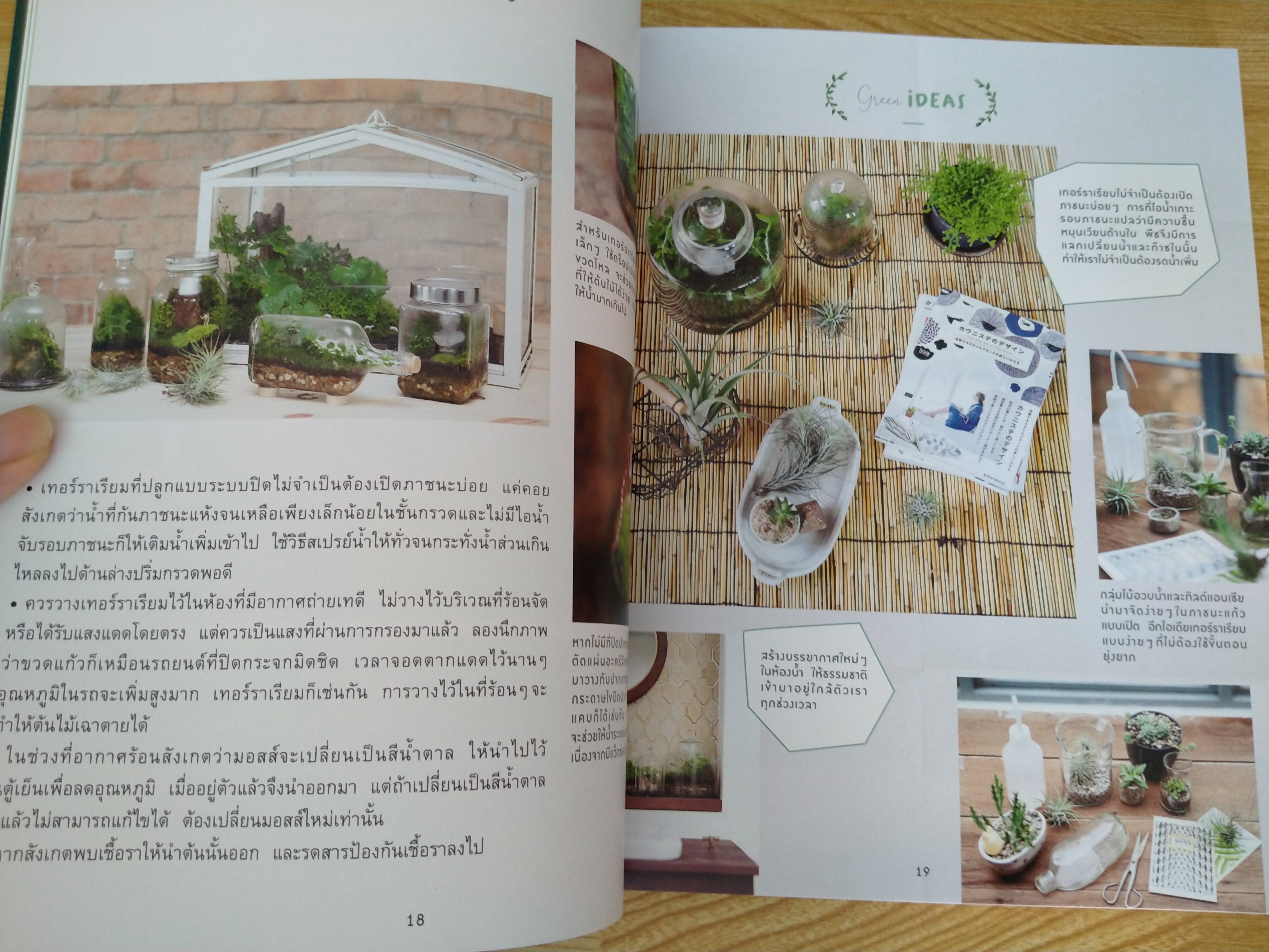 Mini Garden สร้างสรรค์สวนจิ๋วด้วยตัวเอง
