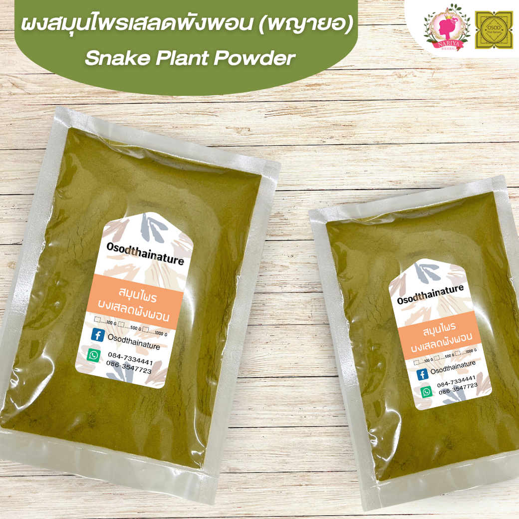 ผงเสลดพังพอน (พญายอ) (Snake Plant Powder) ขนาด 500 1000 กรัม เสลดพังพอน (ตัวเมีย) บดละเอียด สมุนไพร แท้ 100% FG-HBP-086
