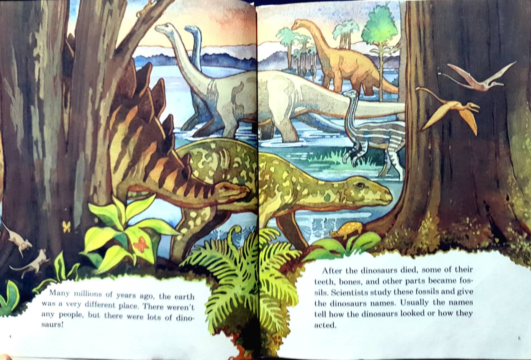 Megalosaurus (Dinosaur Books) Library Binding , 1992 English Edition by Laura Alden
