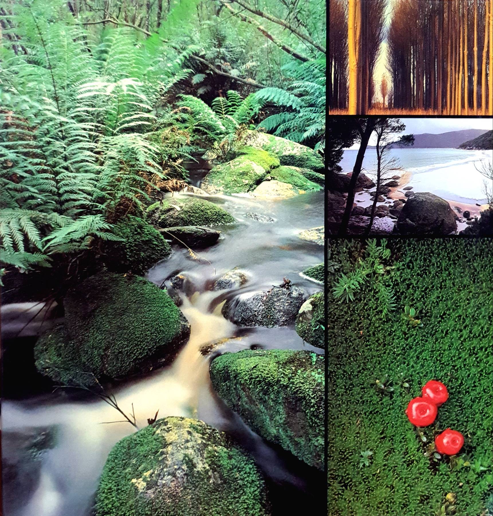 The Colours of Australia (Hardcover) , 1984 by Reg Morrison , Mark Lang