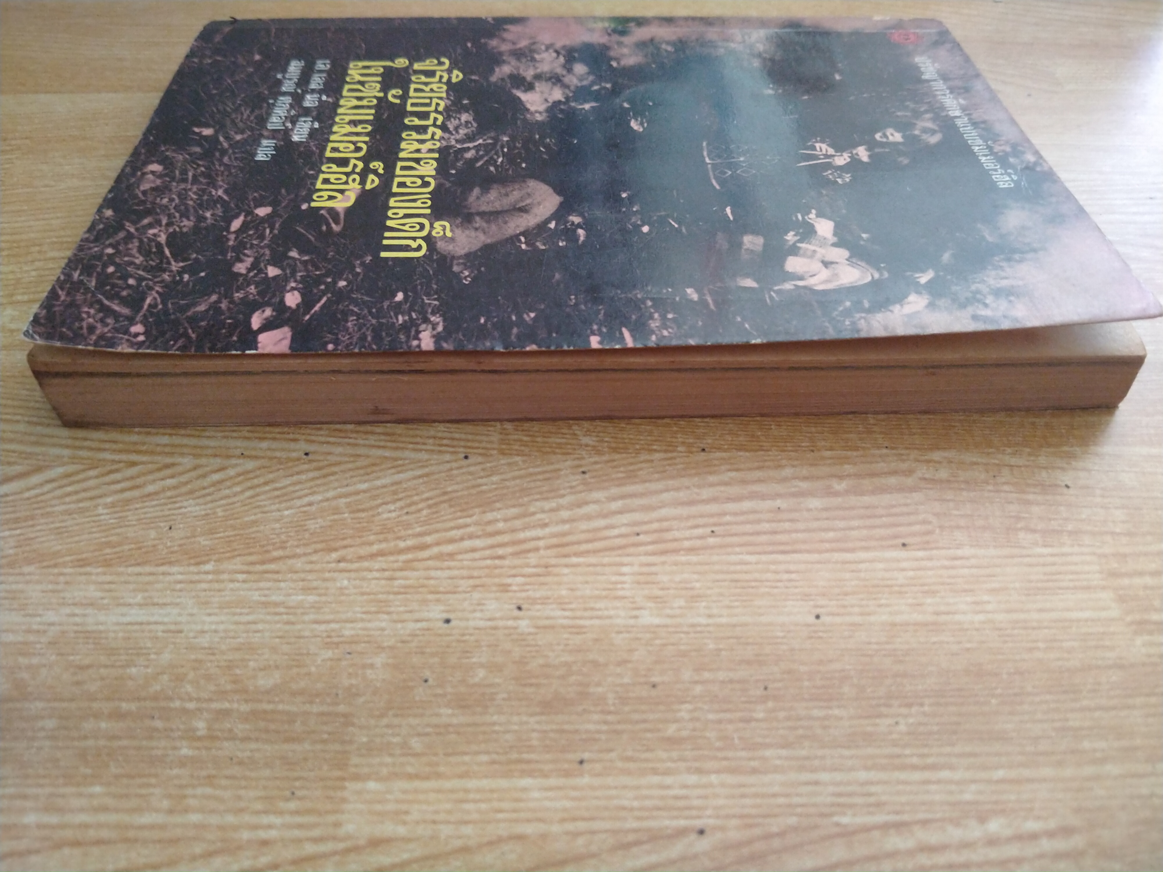 จริยธรรมของเด็กในซัมเมอร์ฮิล