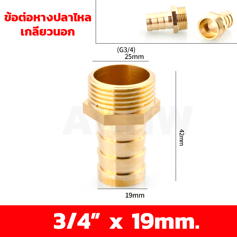 ข้อต่อหางปลาไหลเกลียวใน/เกลียวนอก ทองเหลือง KingsMan ขนาด 1/2นิ้ว 3/4นิ้ว [ขายปลีก/ส่ง]