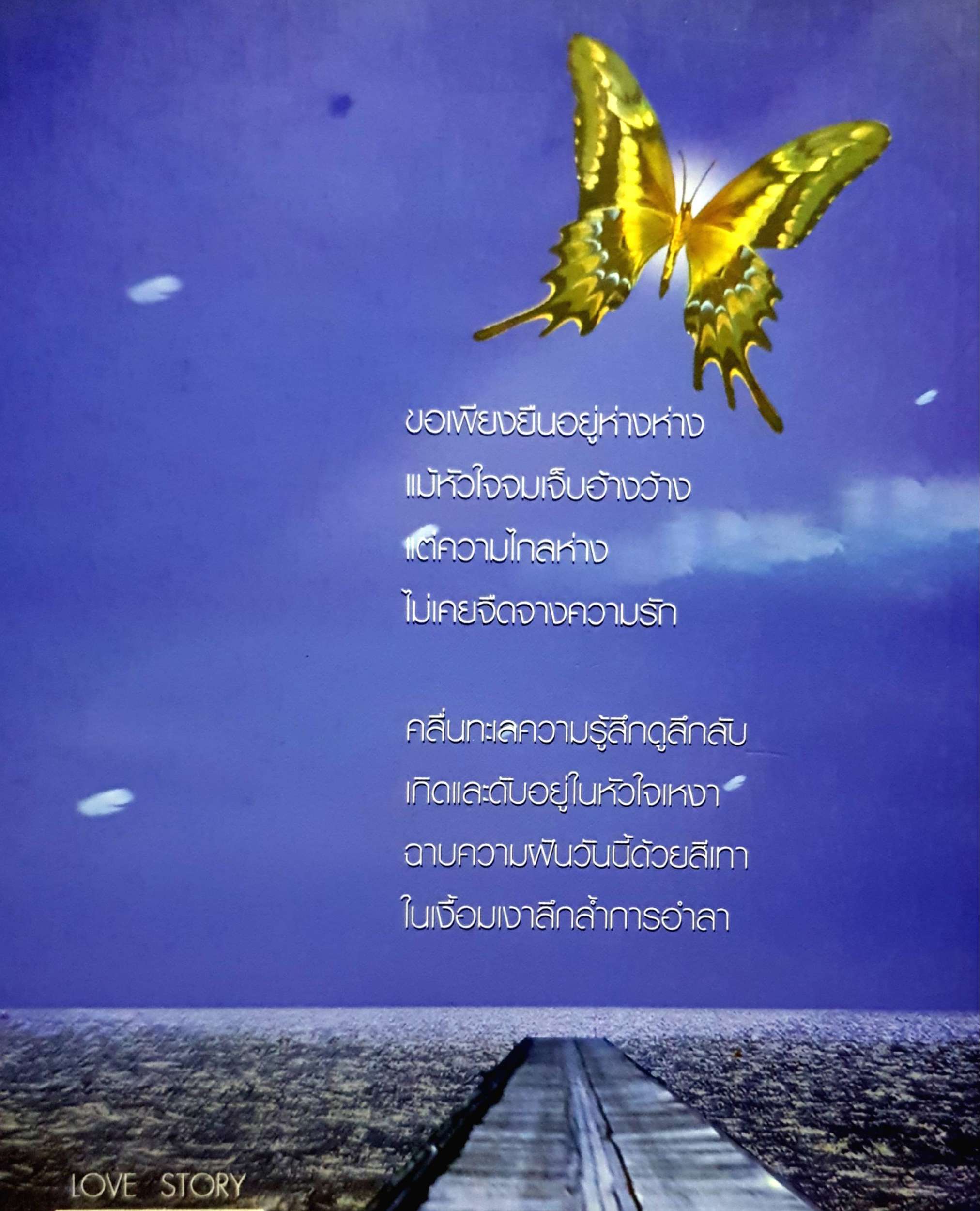 แทนความห่วงหวง จากดวงใจ "น้ำตาลปึก" จากหัวใจพิเศษดวงหนึ่งซึ่งพร้อมจะรัก ห่วงหวง ห่วงหา และห่วงใยใครต่อใคร ด้วยดวงใจทั้งดวง