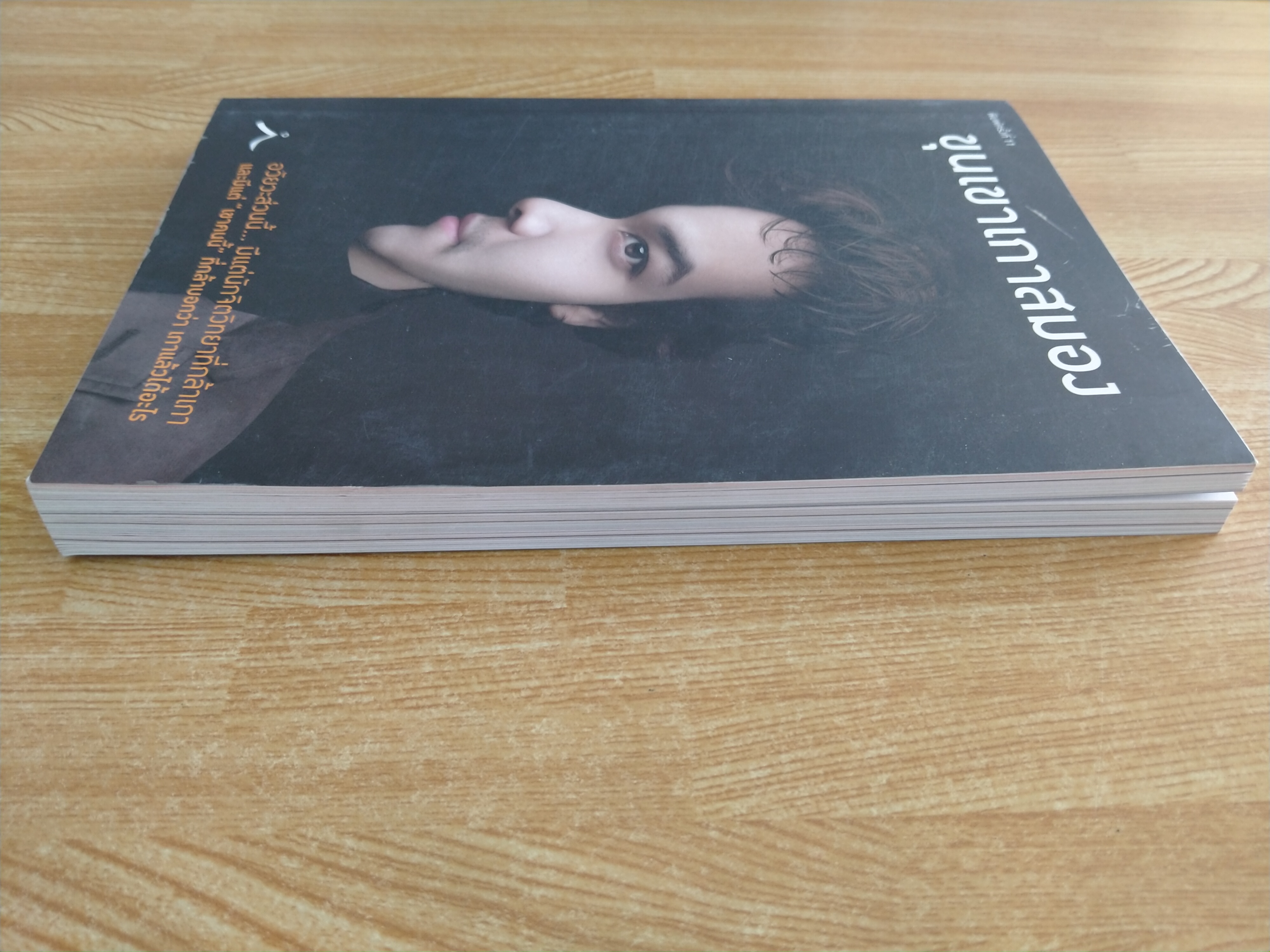 ขุนเขาเกาสมอง