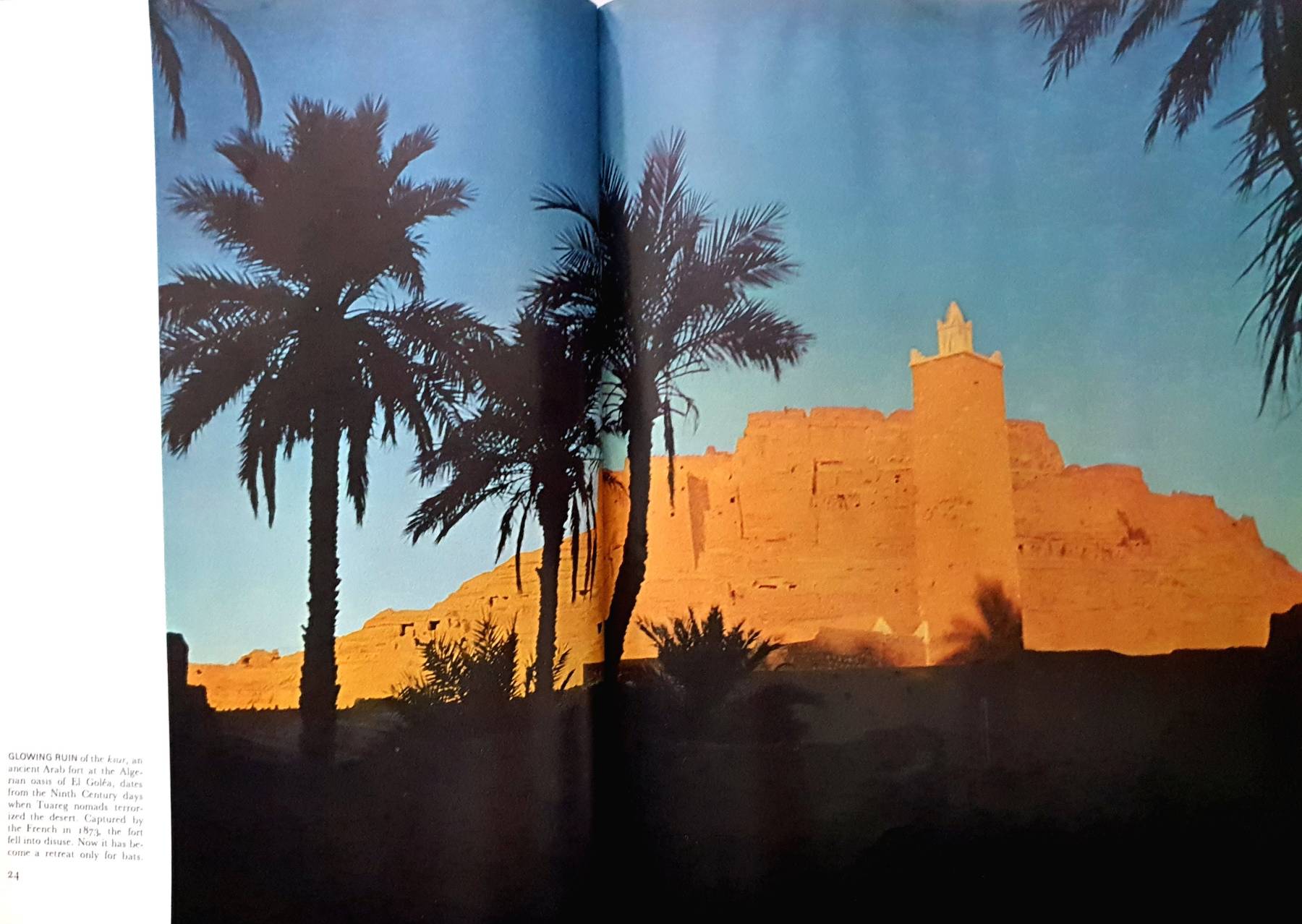 Desert (Life Nature Library) : A. Starker Leopold