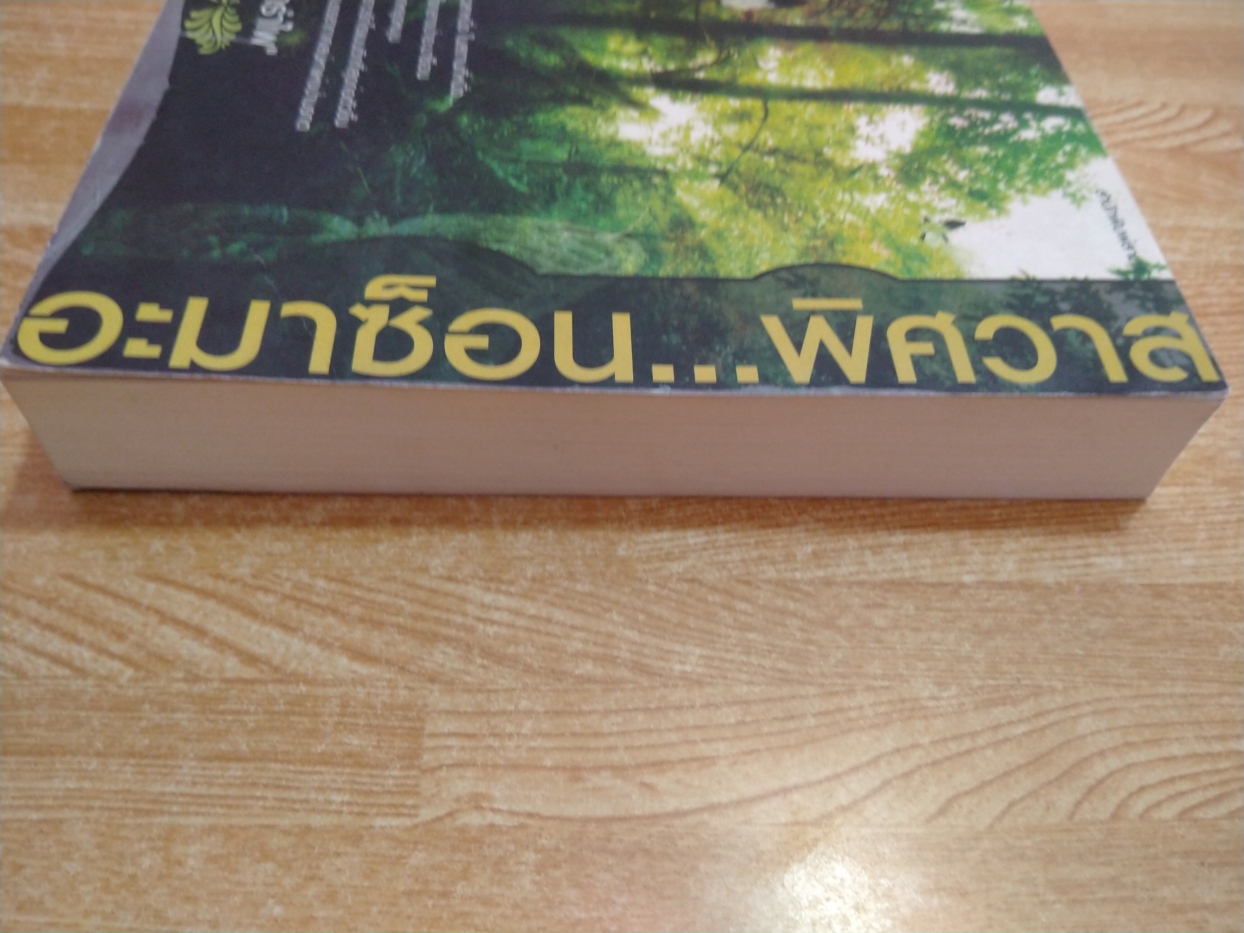 อะมาซ็อน...พิศวาส