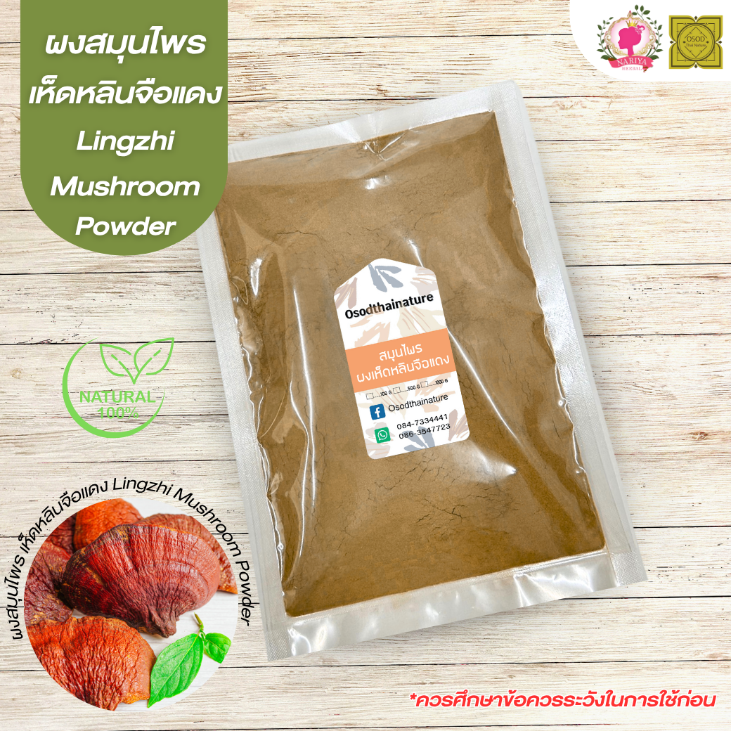 ผงเห็ดหลินจือแดง (Lingzhi Mushroom Powder) ขนาด 500 1000 กรัม เห็ดหลินจือ บดละเอียด สมุนไพร แท้ 100% FG-HBP-098