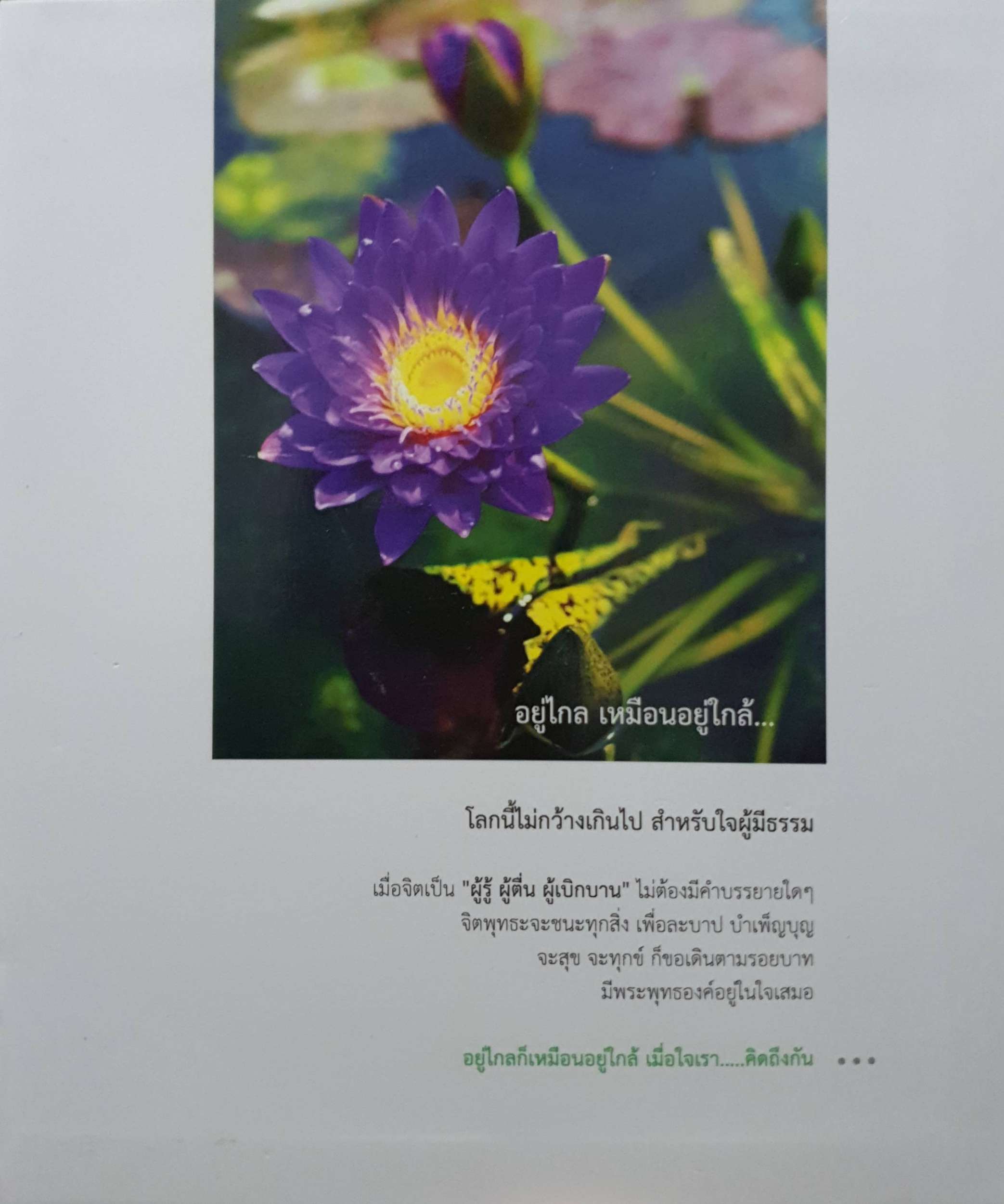 ของขวัญจากพระพุทธเจ้า แสงประทีปแห่งชีวิต